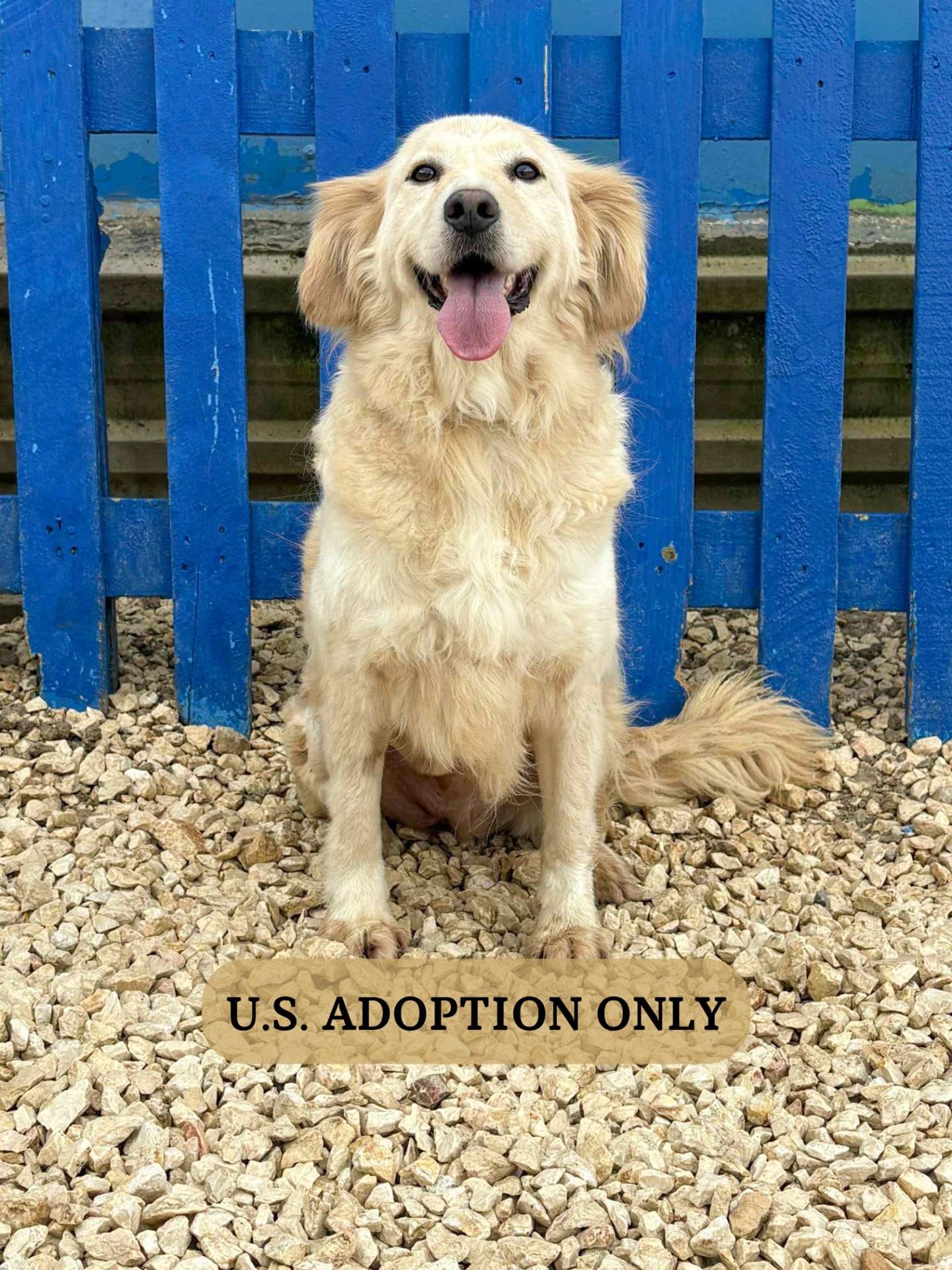 Bubbles - Application Limit Exceeded